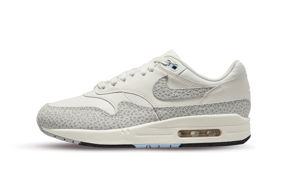 Nike Air Max 1 SFR